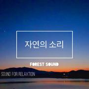 잠 못드는 밤에 ( 숙면을 위한 힐링 새소리 )