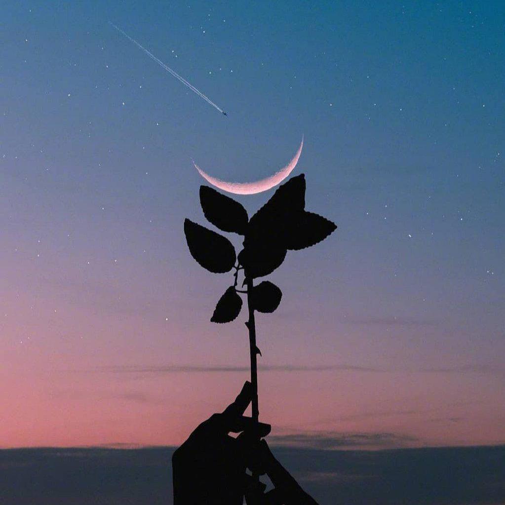 Adanalik (现场版)