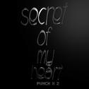 Secret Of My Heart专辑