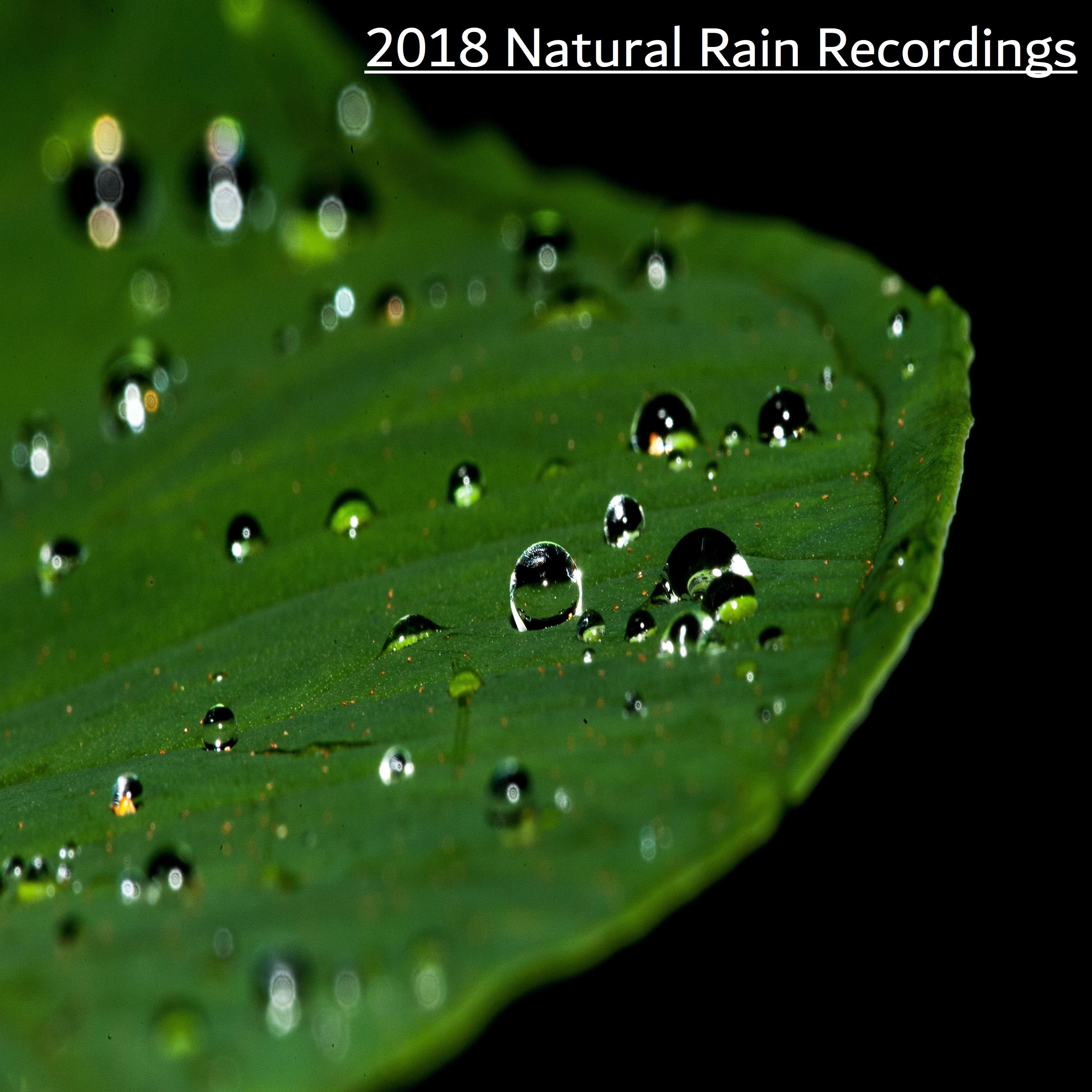 2018 Natural Rain Recordings专辑