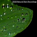 2018 Natural Rain Recordings专辑