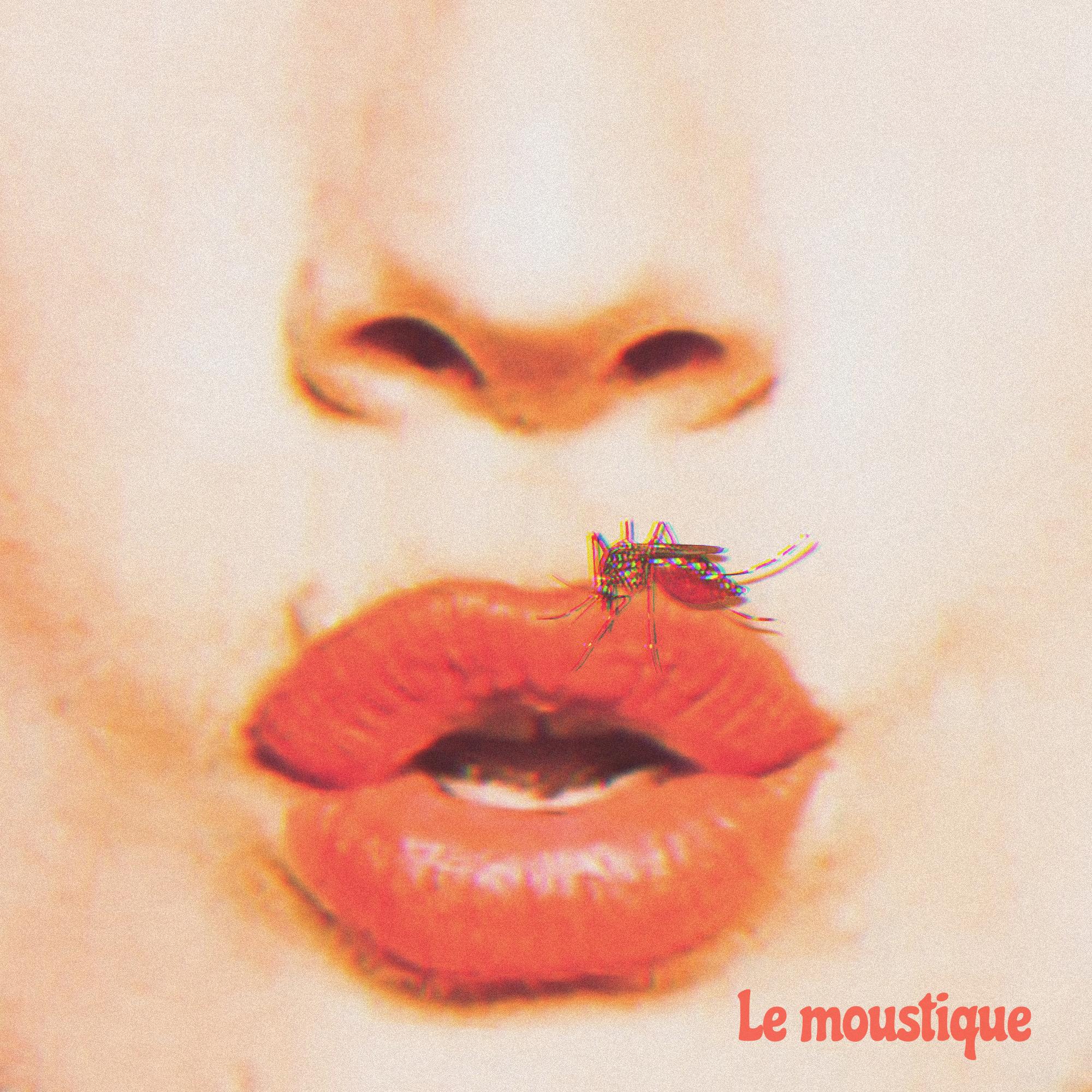 Le moustique