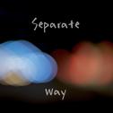 Separate Way专辑