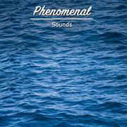 #15 Phenomenal Sounds for Meditation and Yoga