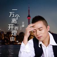 王峰-一万个离开的理由(Dj阿卓版)