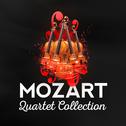 Mozart: Quartet Collection专辑