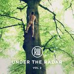 Under The Radar Volume 2 (Deluxe)专辑