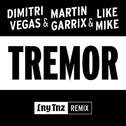 Tremor (LNY TNZ Remix)专辑