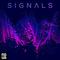 Signals专辑
