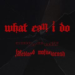 What can I do(Prod.by AriaTheProducer )