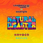 Natural Disaster (Kryder Bootleg)