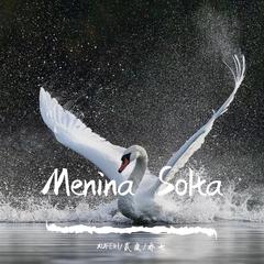 Menina Solta （Orginal Mix）