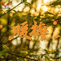 侯丽娟 - 妻子(原版立体声伴奏)