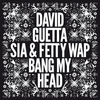 Bang My Head - David Guetta Feat. Sia & Fetty Wap (karaoke Version)