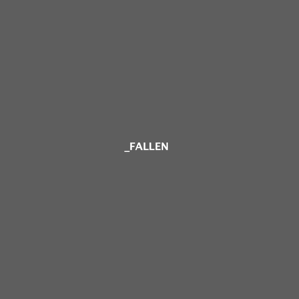 FALLEN专辑