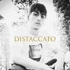 ZENO - Distaccato