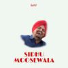 Real HJ - Sidhu Moosewala
