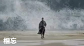 相忘专辑