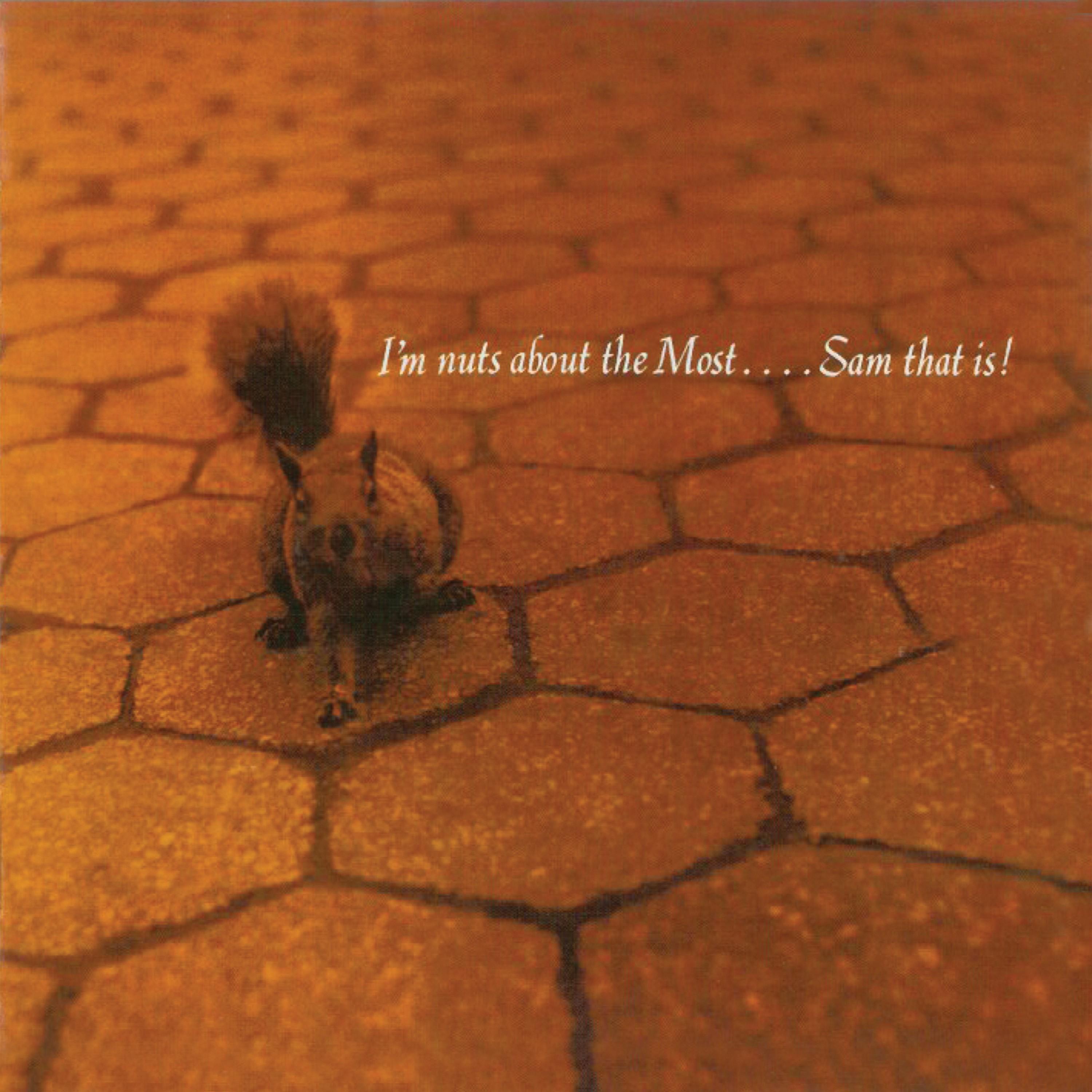 I'm Nuts About the Most… Sam That Is! (Remastered)