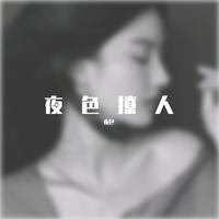 夜色摇 摇 摇起来 DJ版