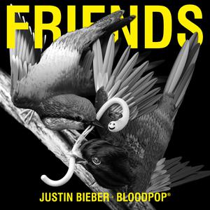 Friends - Justin Bieber & Bloodpop (Z karaoke) 带和声伴奏 （升7半音）