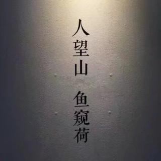 人观山 鱼窥荷
