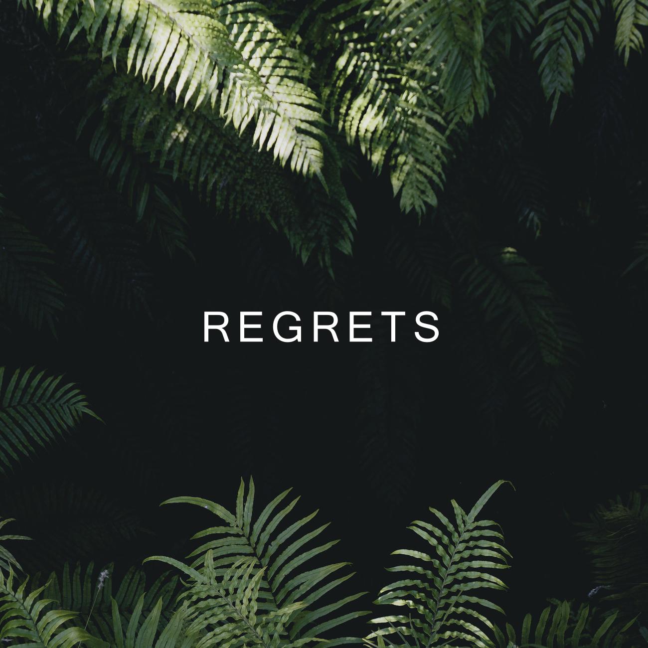 "Regrets"专辑