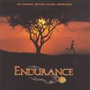 Endurance专辑