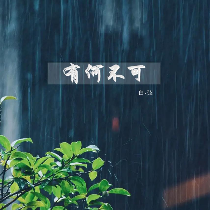 有何不可