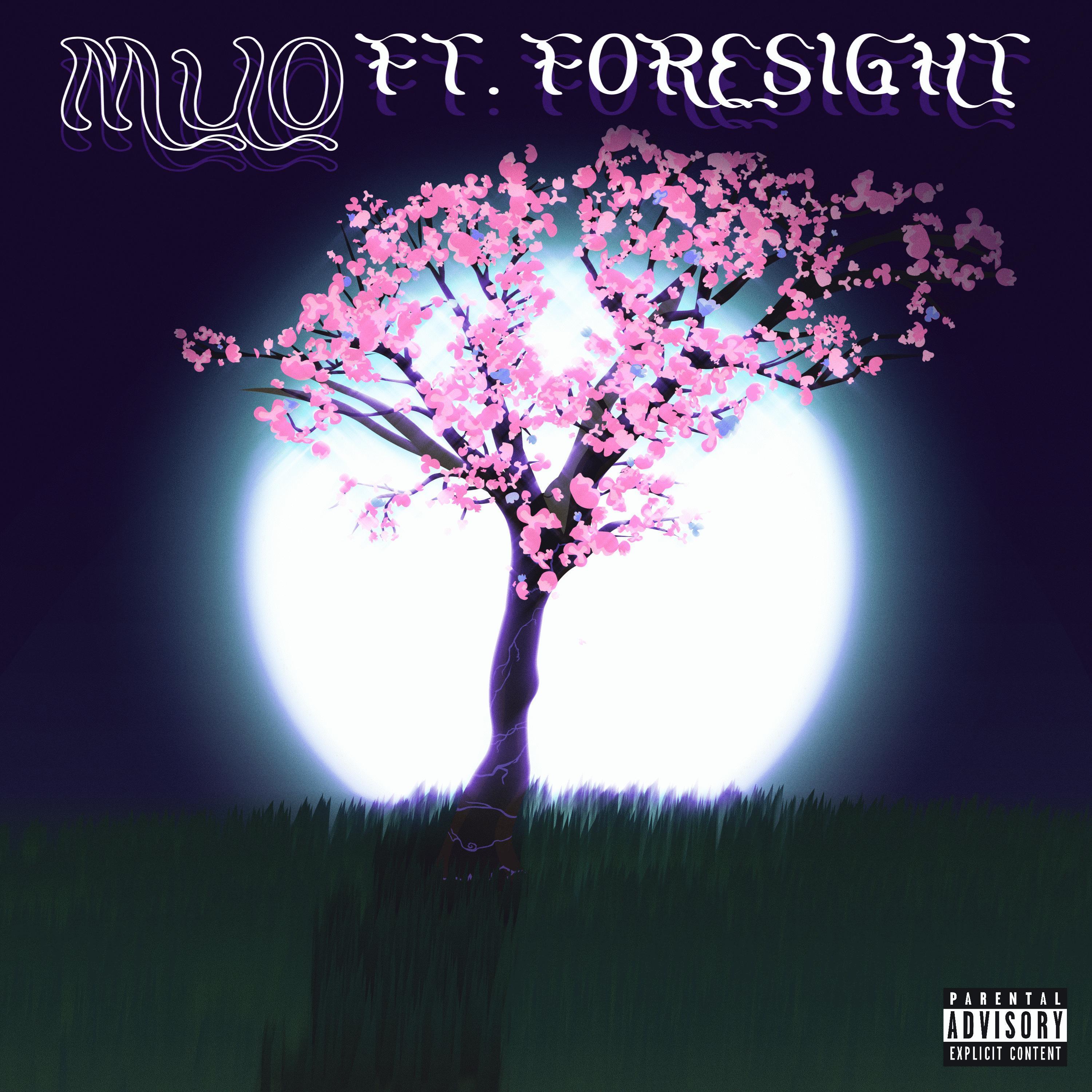 Pink Flower Petals (feat. Foresight)