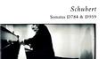 Schubert: Piano Sonatas D784 & D959专辑
