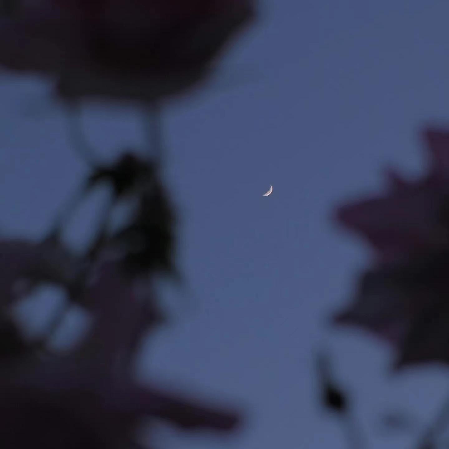 夏夜最后的烟火