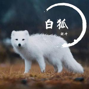 白狐 男声版 - 伴奏