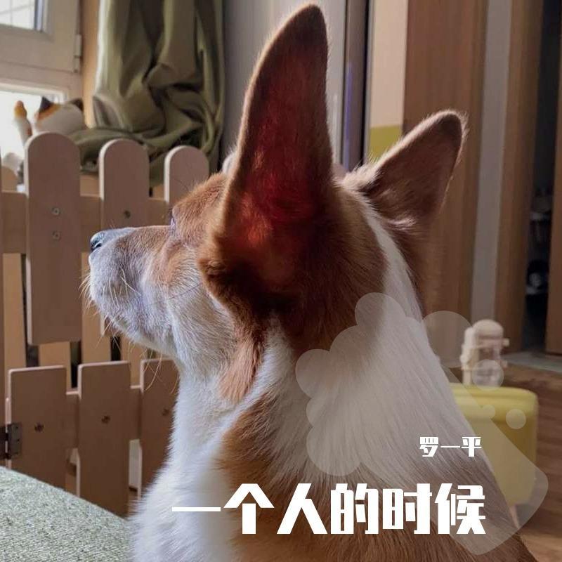 一个人的时候