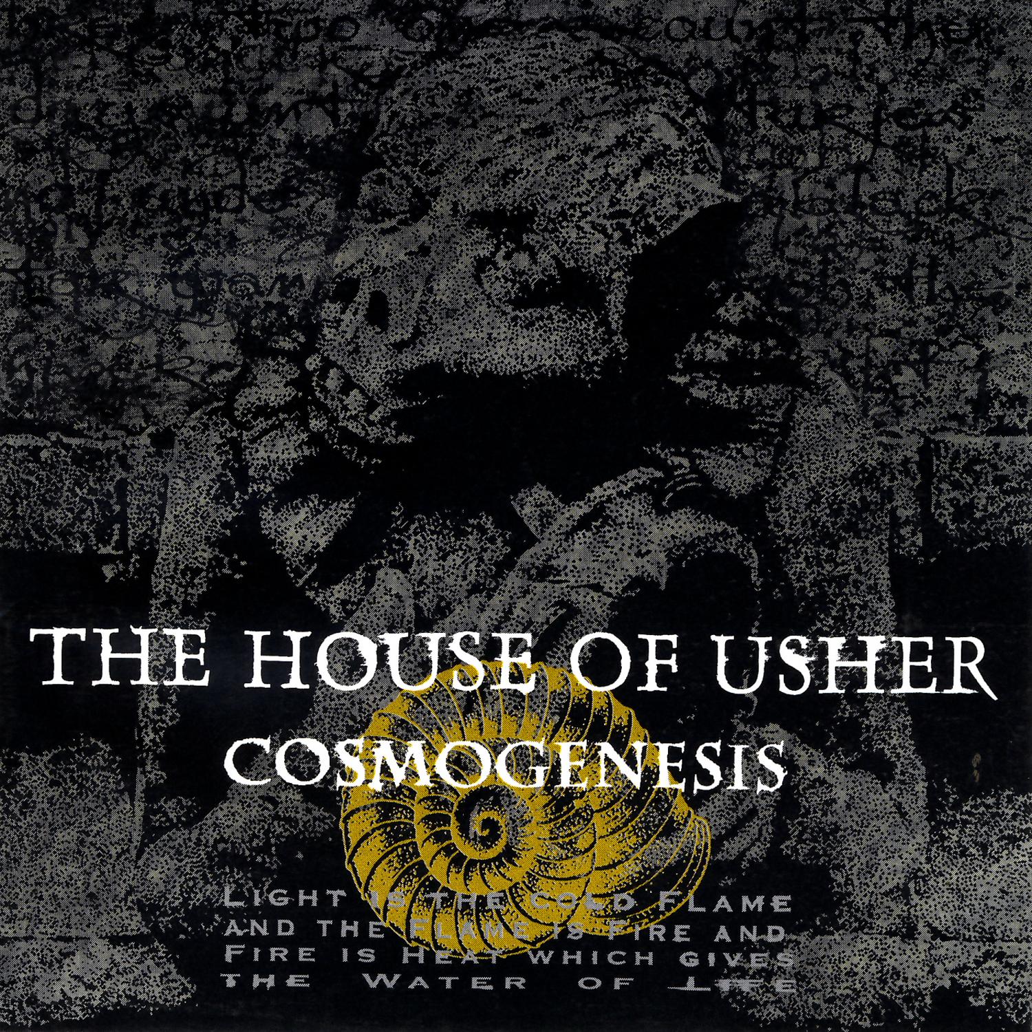 Cosmogenesis