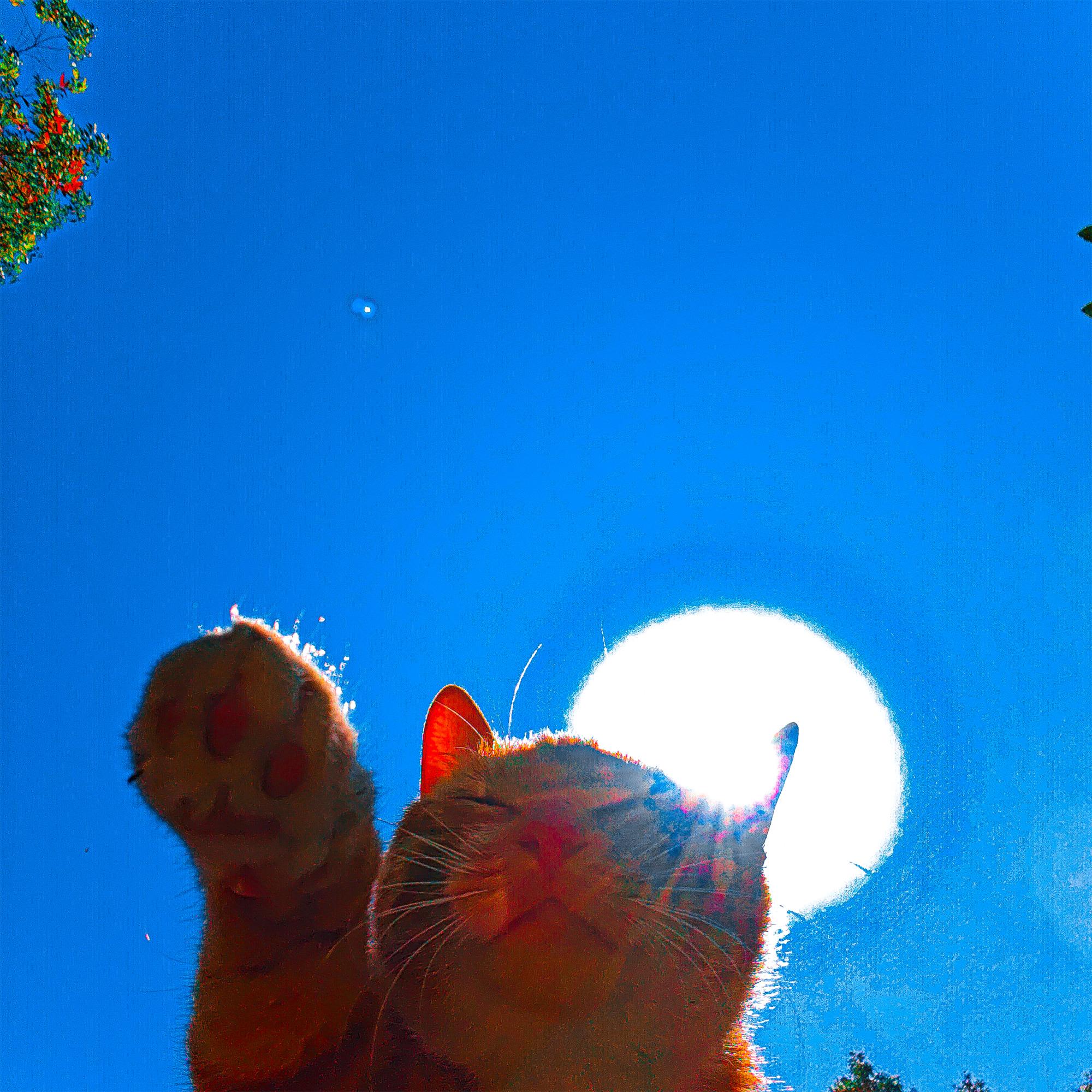 when the sky rememberIt's blue 伴奏