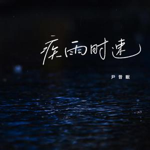 疾雨时速 （原版立体声带和声）