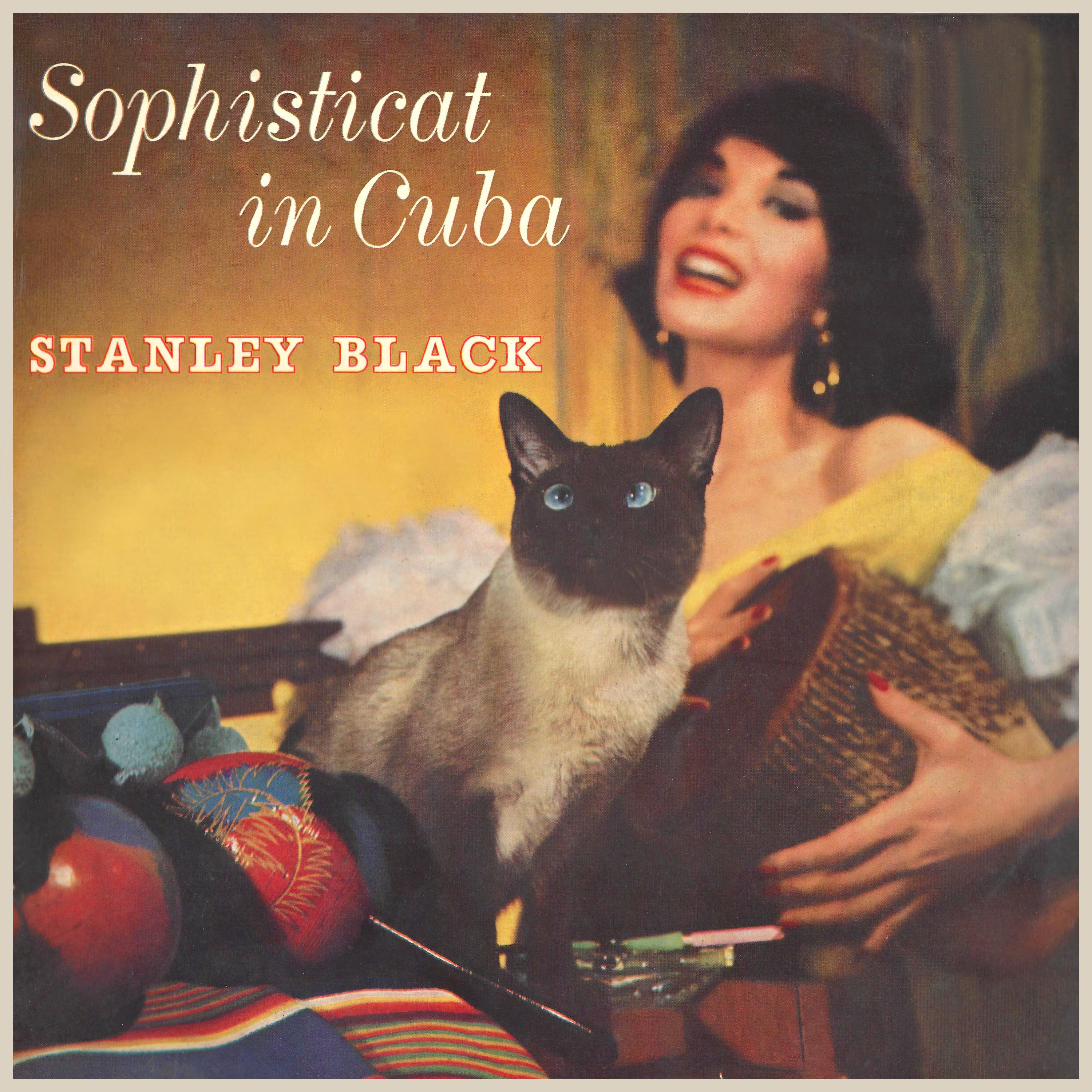 Sophisticat In Cuba