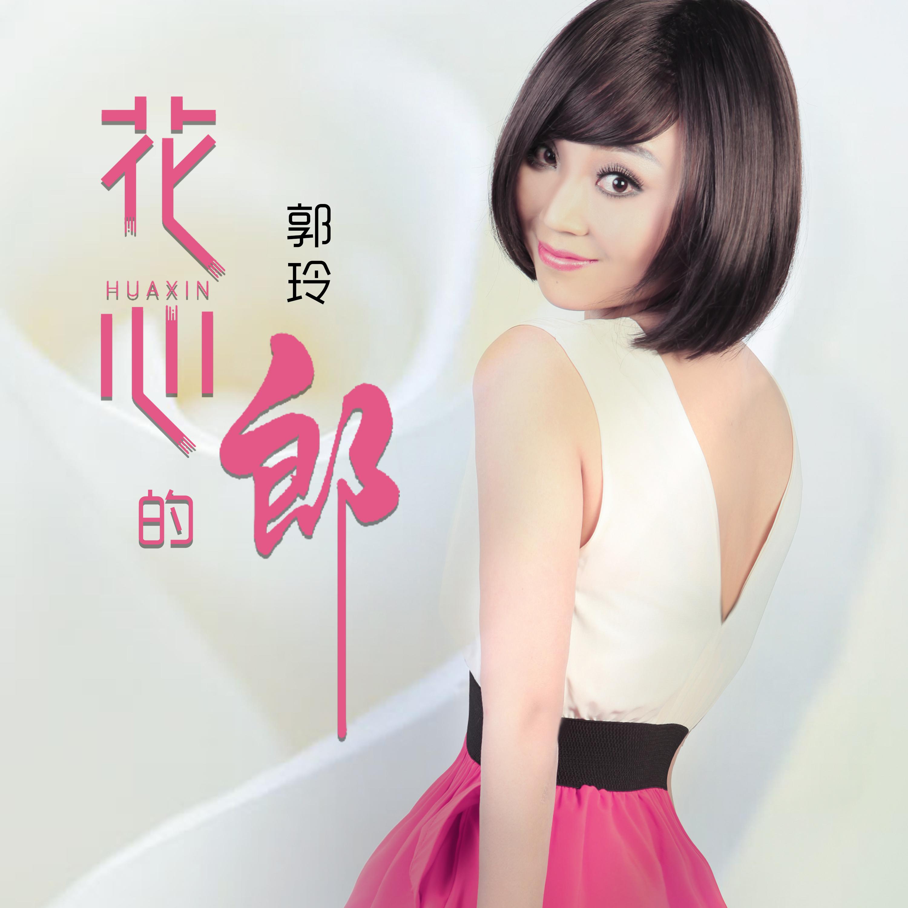 花心的郎 (DJ何鹏版)