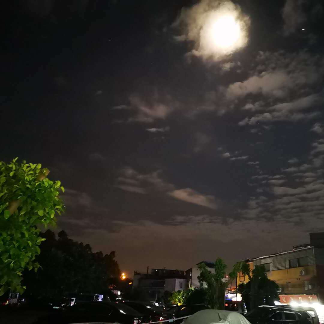 大虾专辑