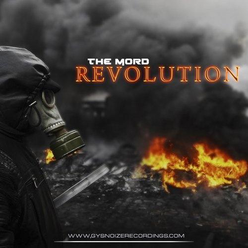 Made in Revolution