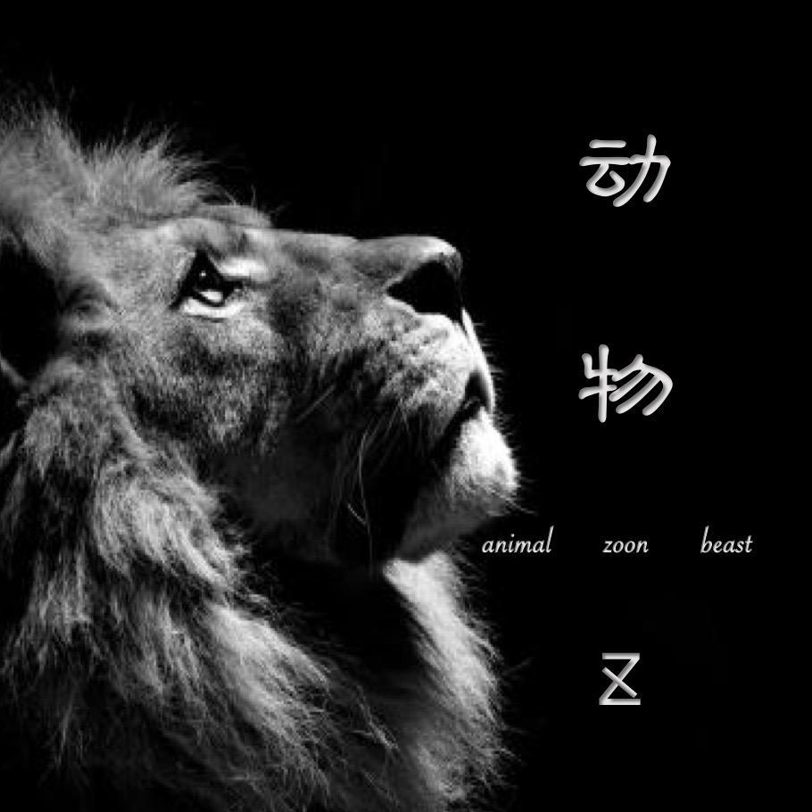 动物