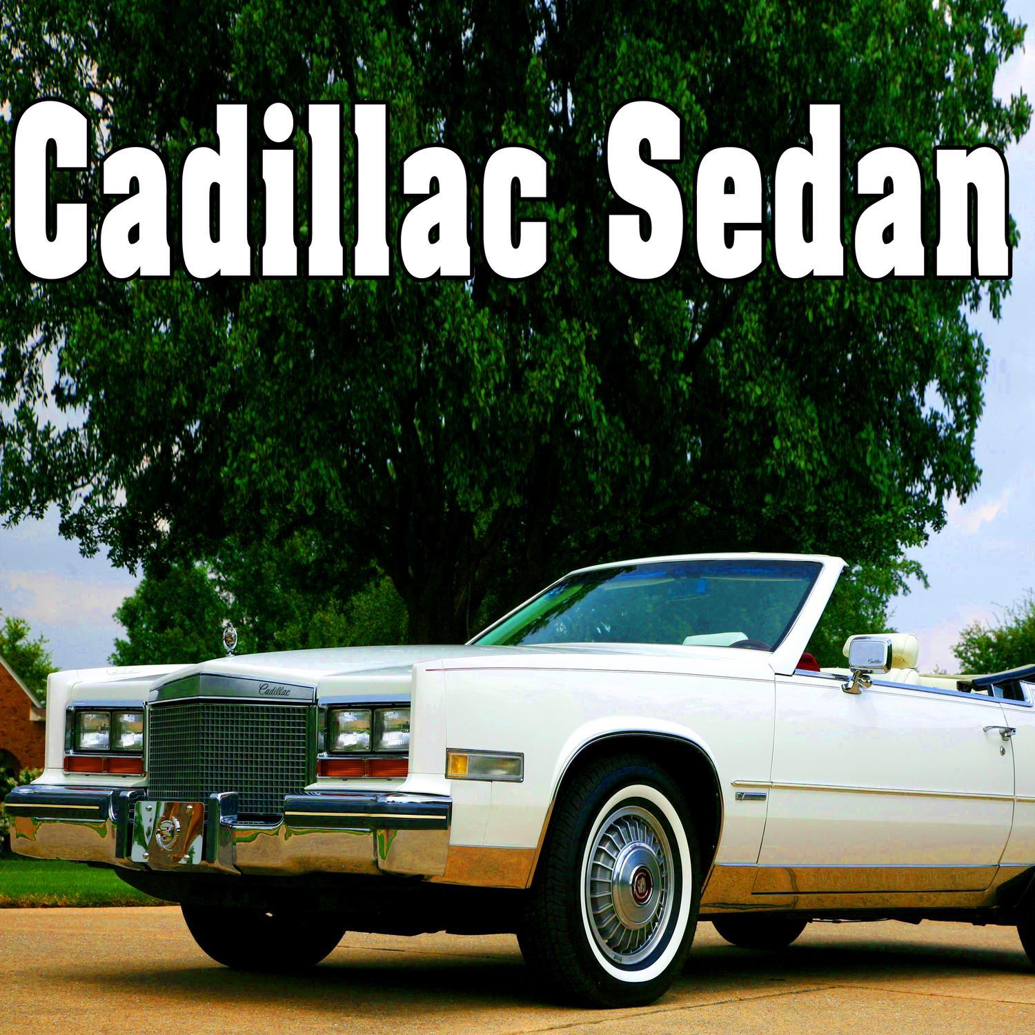 cadillac sedan pulls up from left slowly, stops, idles & shuts