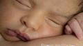 Berceuse Pour Bébé Chanson Pour Dormir专辑