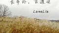 长亭外，古道边专辑
