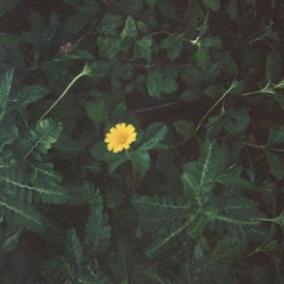 慵懒循环指南 | 陷落松弛 随节奏缓缓下坠
