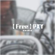 【Free】PXY