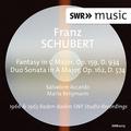 Schubert: Fantasy, Op. 159 & Duo Sonata, Op. 162