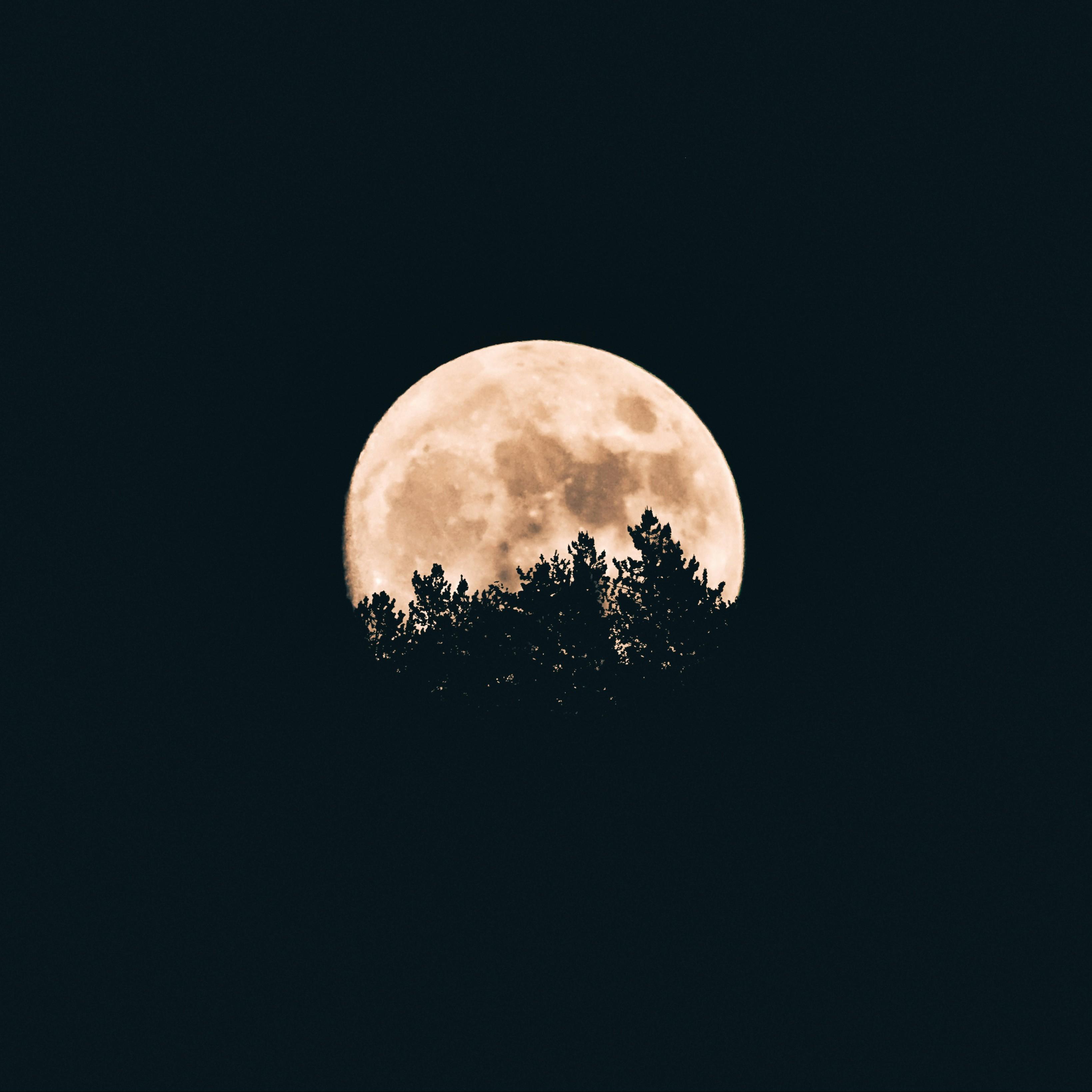 夜凉