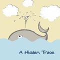 A Hidden Trace